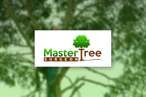 Master Tree Surgeon