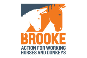 Brooke - Action for Working Horses and Donkeys