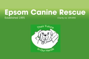 ​Epsom Canine Rescue