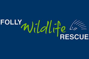 Folly Wildlife Rescue