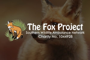Fox Project