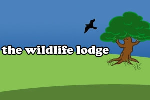 Wildlife Lodge